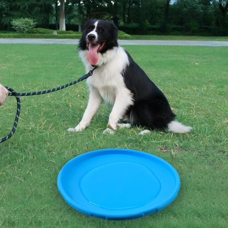 Frisbee Chien - FlyingDiscToys™ - Bleu