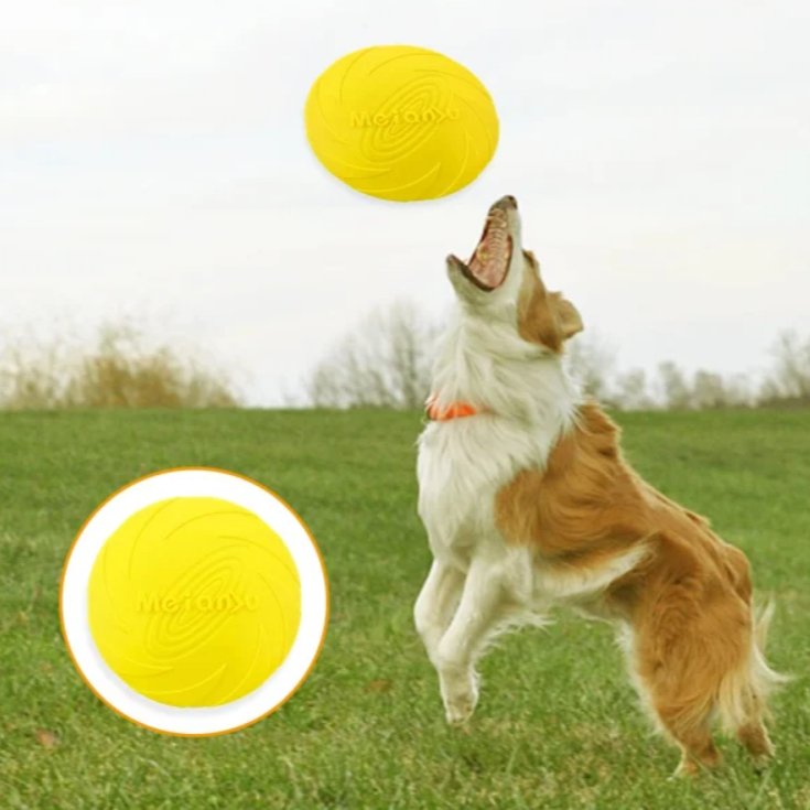 Frisbee Chien - FlyingDiscToys™ - Jaune - Empire - de - chien