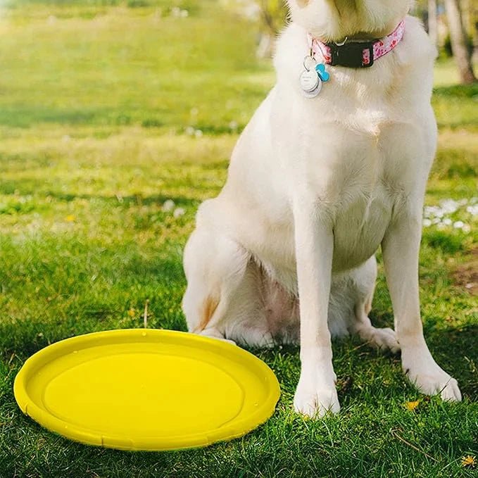 Frisbee Chien - FlyingDiscToys™ - Jaune - Empire - de - chien