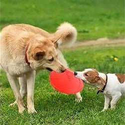 Frisbee Chien - FlyingDiscToys™ - Rouge - Empire - de - chien