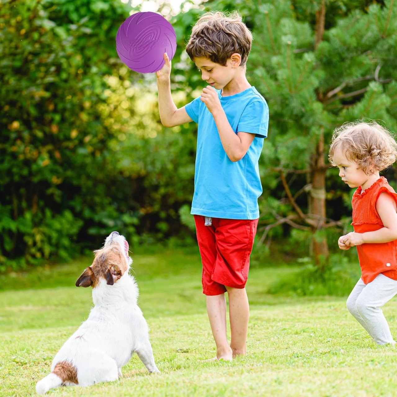 Frisbee Chien - FlyingDiscToys™ - Violet - Empire - de - chien