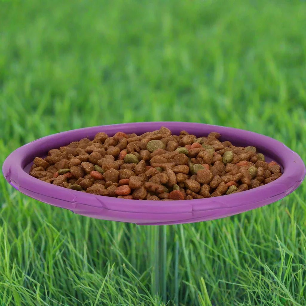 Frisbee Chien - FlyingDiscToys™ - Violet - Empire - de - chien