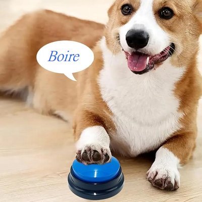 Jouet Interactif pour Chien - ChienParlant™ - Bleu Royal - Empire - de - chien